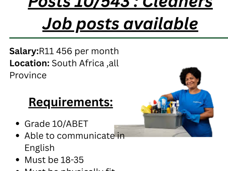 Government Cleaner Job